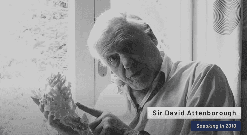 iAtlanticEU (@iatlanticeu) on Twitter photo Sir David Attenborough highlights how vulnerable cold-water corals are to rapidly changing #ocean conditions in new film released this Sat 6 Nov during our <a href="/COP26/">COP26</a> soiree at <a href="/ourdynamicearth/">Dynamic Earth</a>. Watch the teaser here: iatlantic.eu/news/new-film-… Sir David Attenborough highlights how vulnerable cold-water corals are to rapidly changing #ocean conditions in new film released this Sat 6 Nov during our <a href="/COP26/">COP26</a> soiree at <a href="/ourdynamicearth/">Dynamic Earth</a>. Watch the teaser here: iatlantic.eu/news/new-film-…
