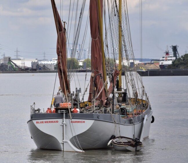 Blue Mermaid is a steel-hulled Thames sailing barge constructed between 2015 and 2019. She was built specifically to operate under sail and does not carry an engine. She is a replica of Blue Mermaid. 
📸 dlr_blog
#sailcargo #emissionfree