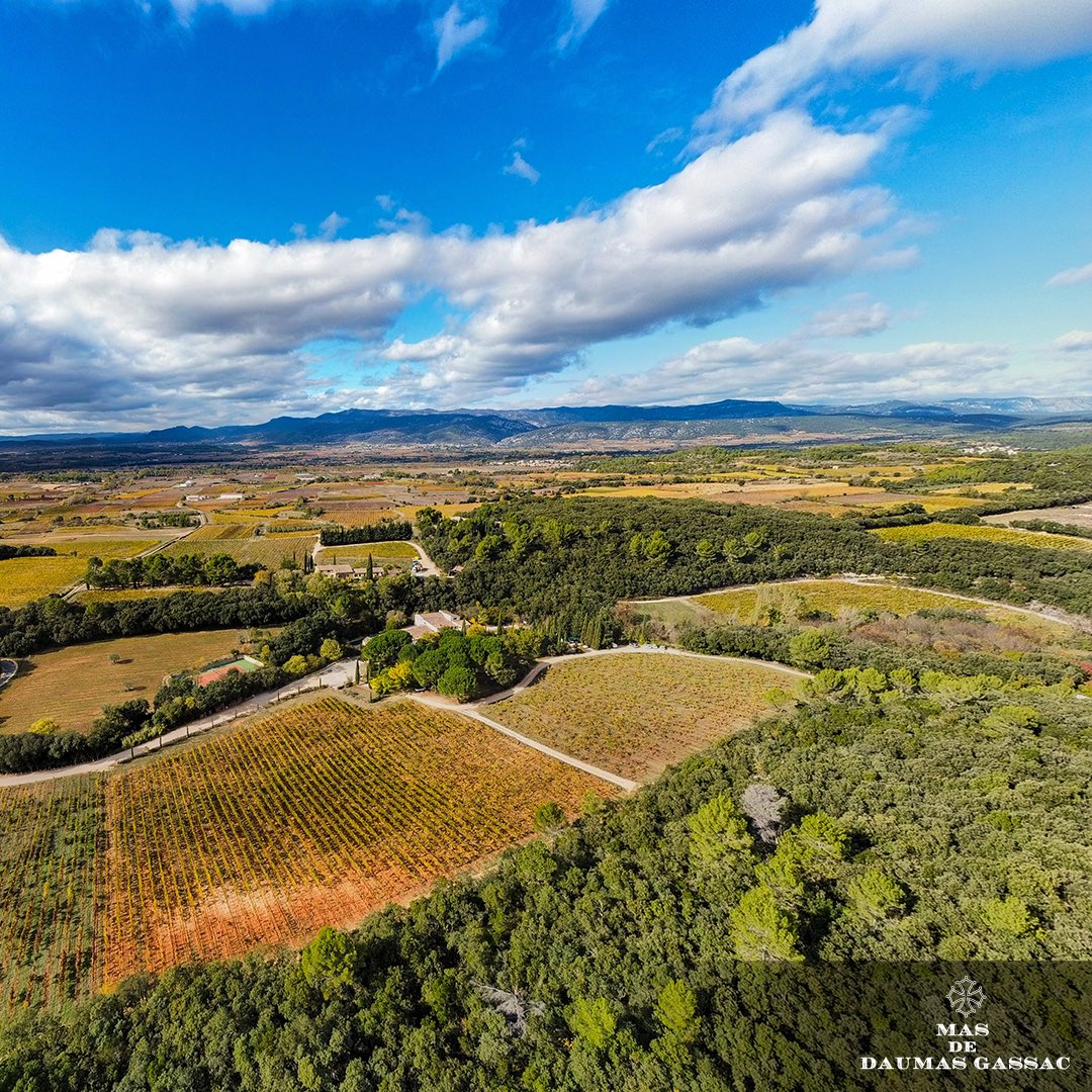 MasDaumasGassac's tweet image. 🍄🍁 Douceur automnale 🍂

🍂 Autumnal mildness 🍄🍁

#november #novembre #aniane #fall #automne #autumn #mildness #couleurs #fraicheur #vueduciel #fromthesky #terroir #france #vignoble #vigne #vineyard #southoffrance #herault #occitanie
