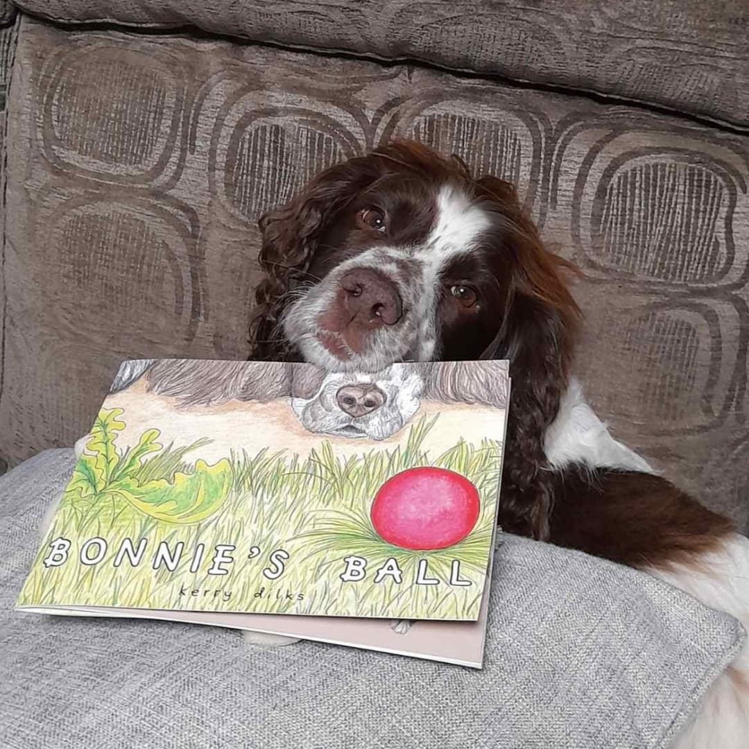 DilksKerry's tweet photo. Day 4 of #MeetTheMakerWeek over on Insta is CELEBRATE so give it a read if you want ๐ Take a look through some pages of "Bonnie's Ball" on there. My third #CHILDRENSBOOK . #shopindie #ShopSmallUK #dogsoftwitter #picturebook #illustration #storytelling https://t.co/rAmgDkQNps