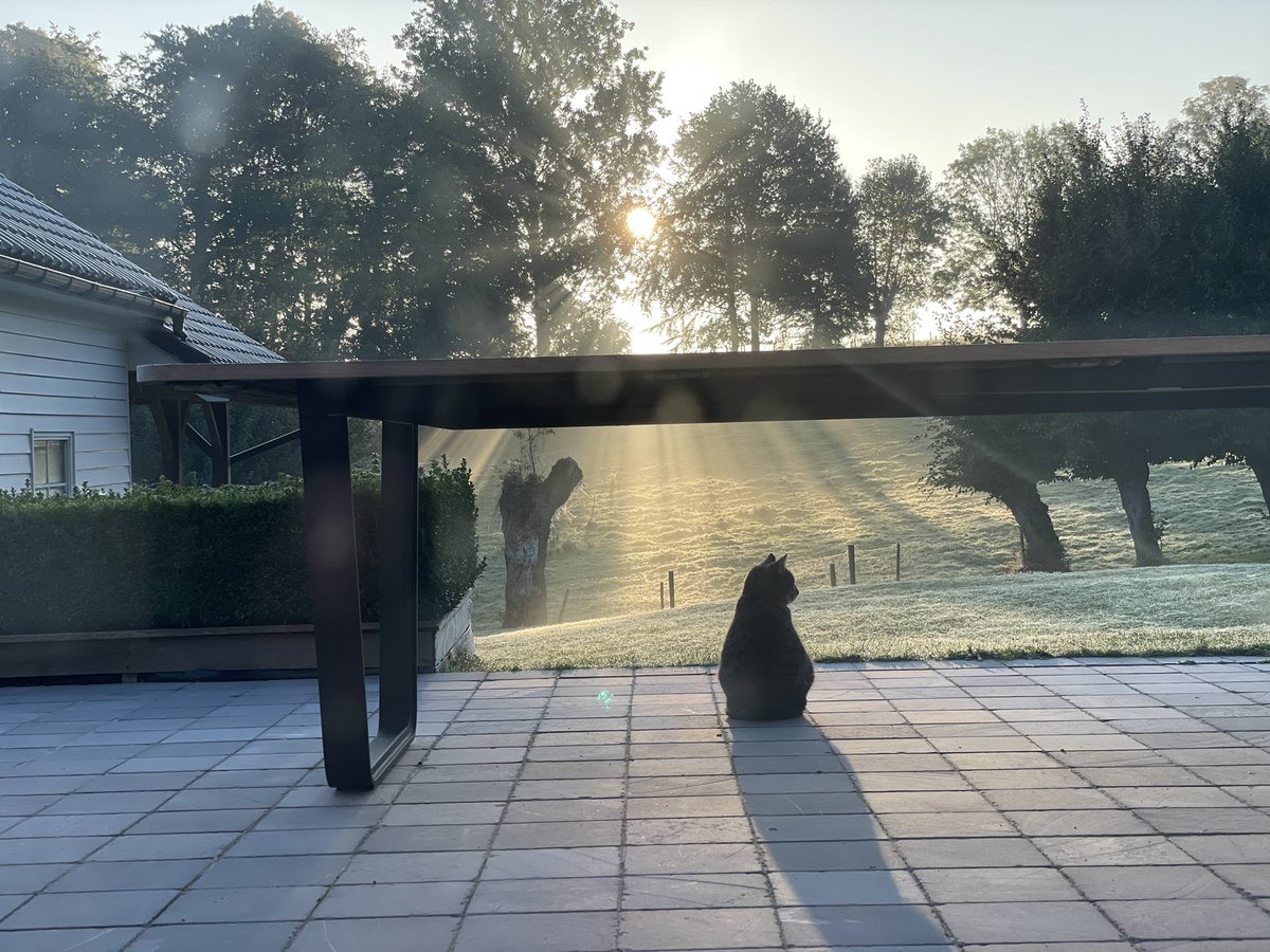 ElineCarion's tweet photo. Goeiemorgen 😃
Ons vriendje wou ook op de foto.
#jippemans #wewonentochmooi #everbeek https://t.co/2RRTYE3HCY
