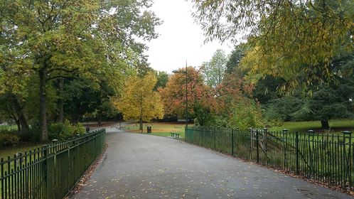 Why not take a stroll in Hanley Park and take photos of the autumn colours?
