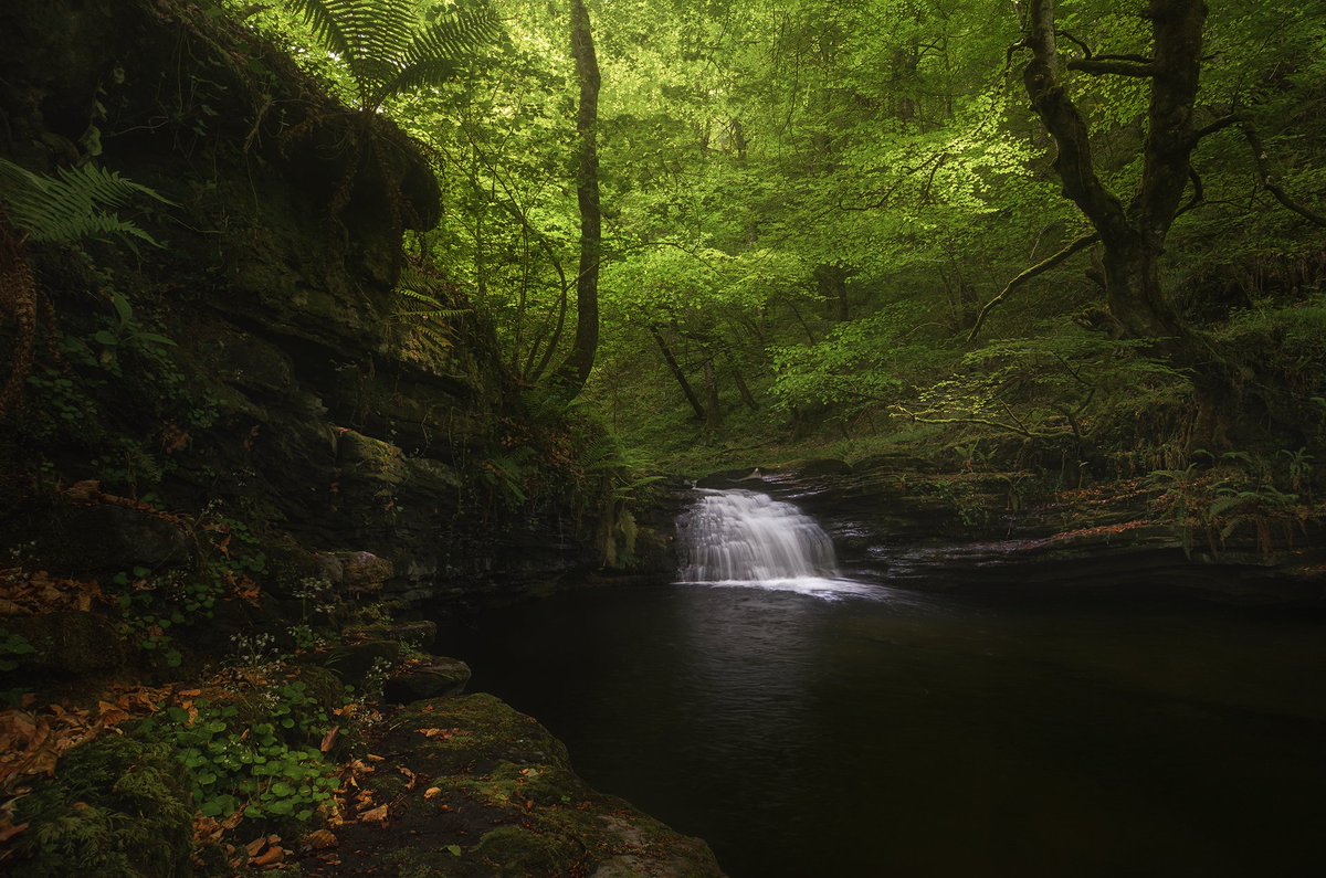 No es lo que ves, es lo que sientes, el momento, el lugar!
Enjoy 😎
#waterfall #landscapelovers #luismasu #river #hacerfotos #forest #Longexposure #landscapephotography #travel #Autumn #NFTCommunity #NaturePhotography #nature #NFTartist 

luismasu.myportfolio.com
