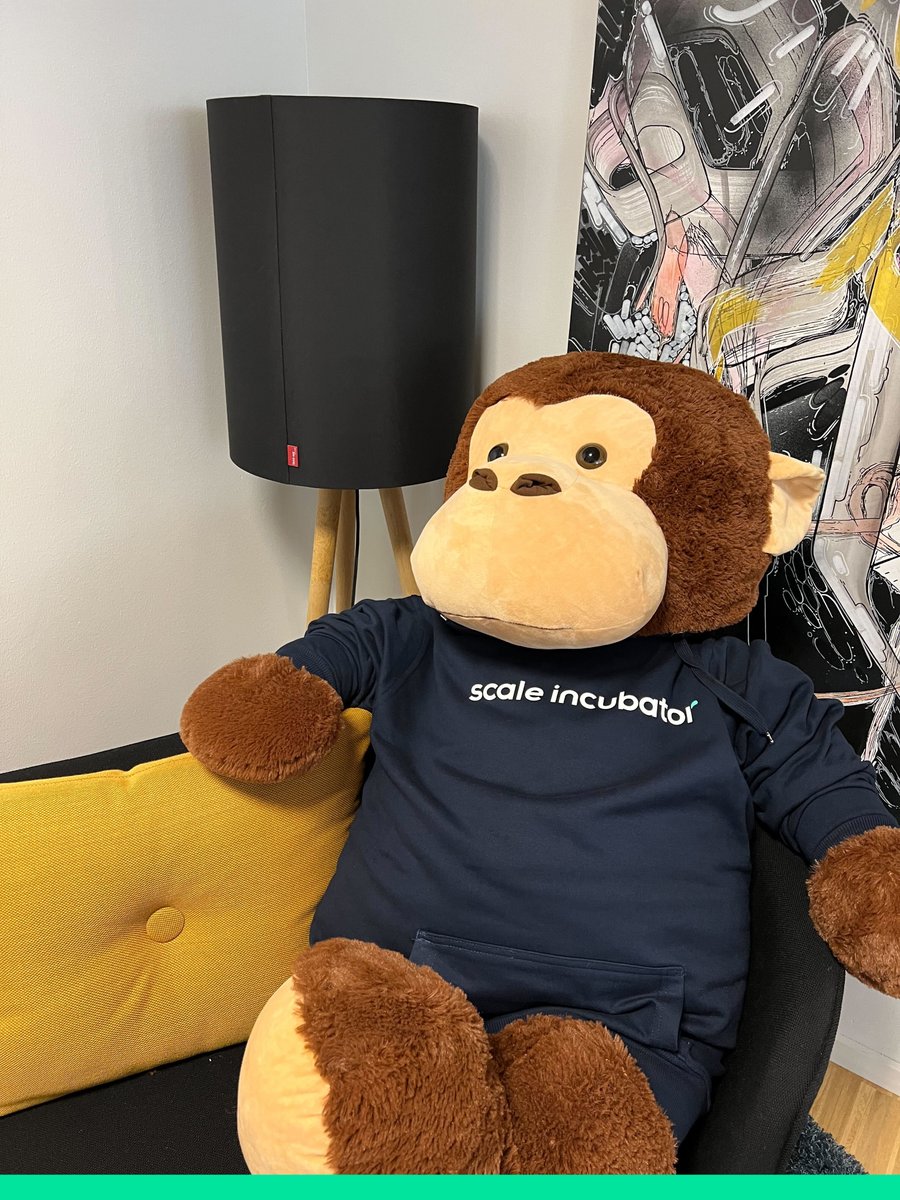 Preben, our office mascot took the first hoodies we got in the office today! 🙉

Team (and Preben) is ready to #ScaleUp! 🚀