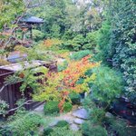 神田京子(講談師)のツイート画像