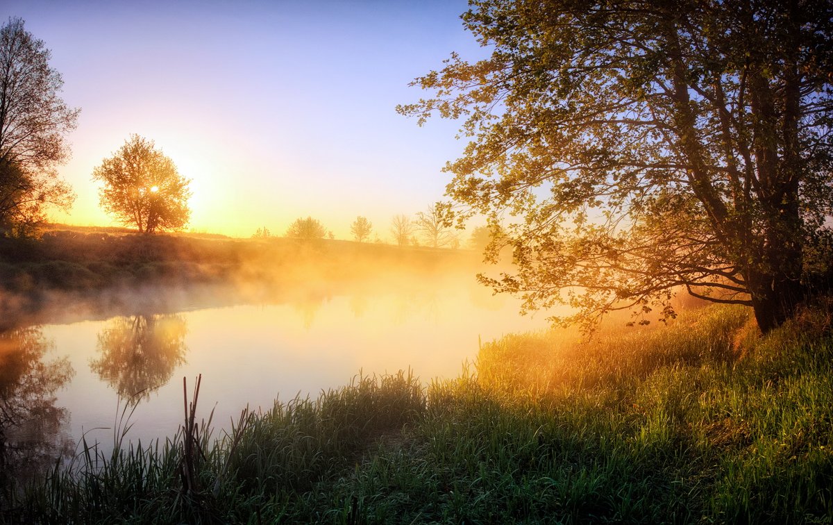 Доброе раннее утро картинки