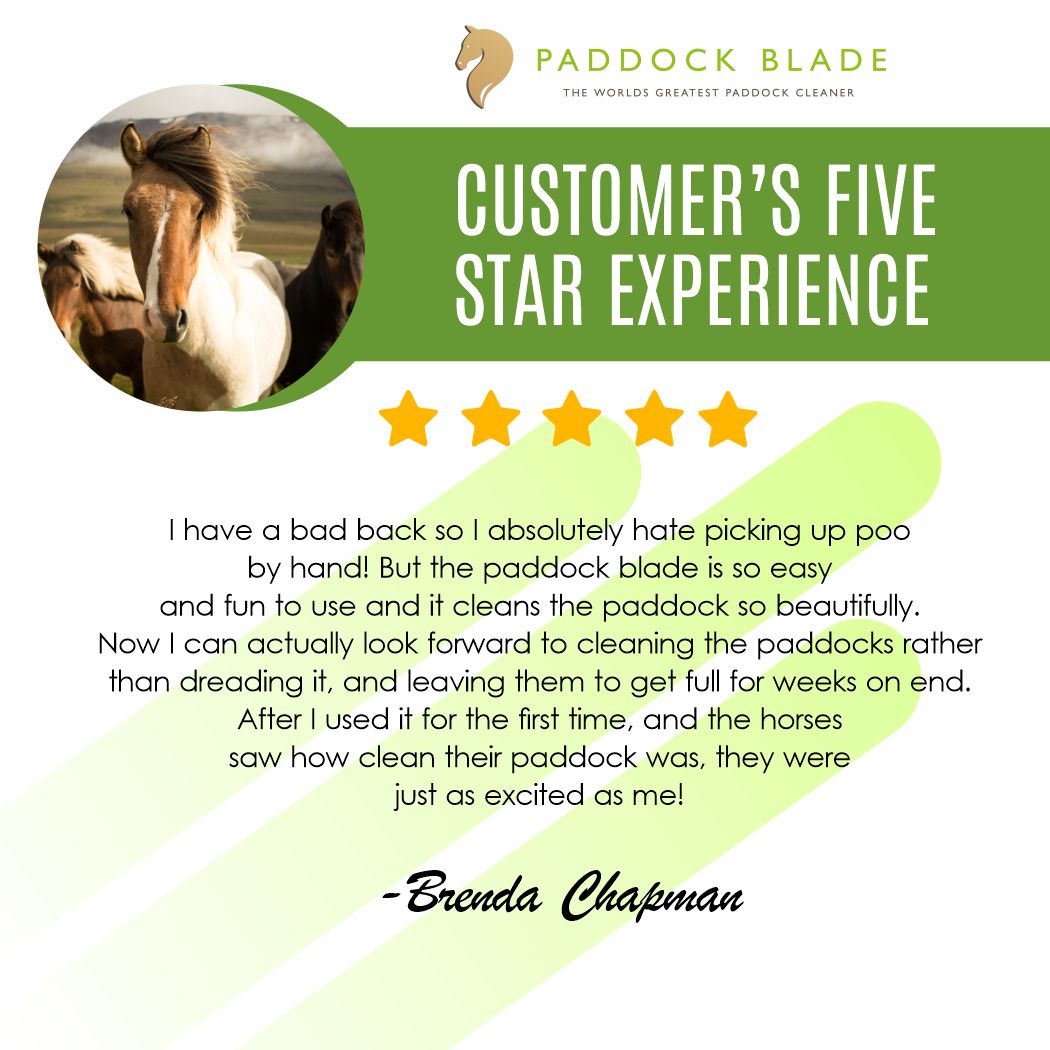 PaddockBlade's tweet image. Take a look at our customer&apos;s five star experience! ⭐⭐⭐⭐⭐
Brenda&apos;s having a hard time cleaning her paddock. Back pain is always her issue but since she purchased her very own Paddock Blade, everything became easy! 🤩

#paddockblade #paddockbladeau #paddockcleaner #horselife