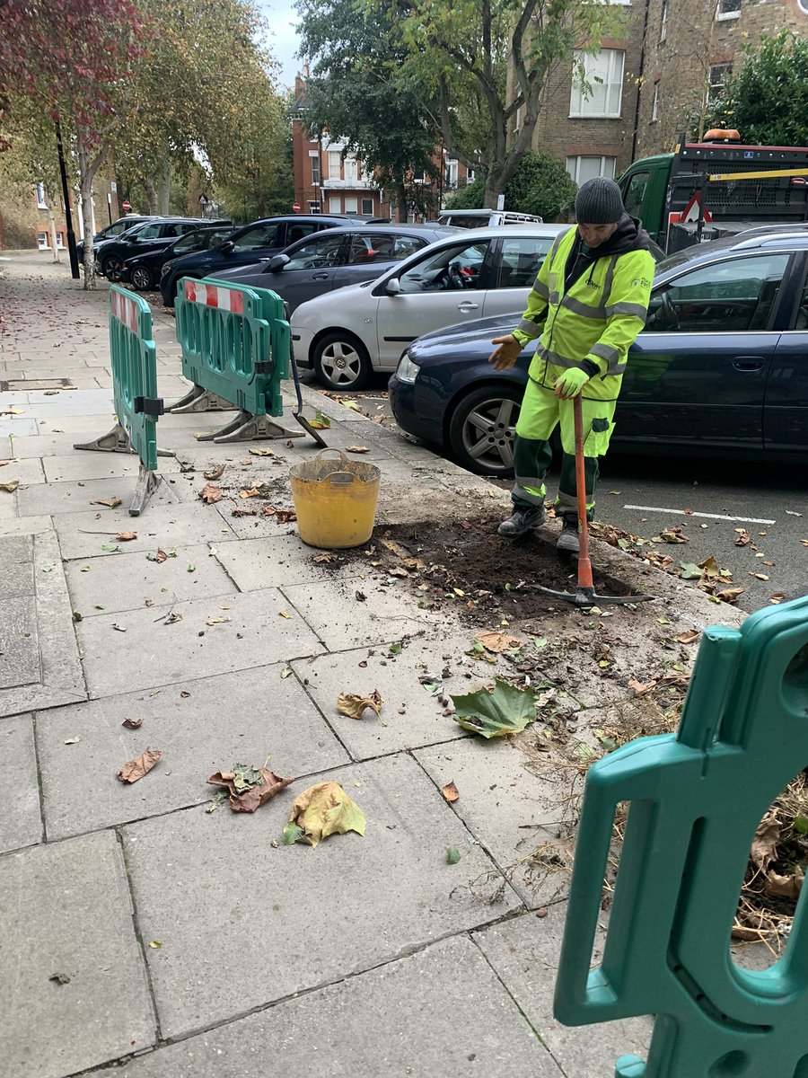 lizsposato's tweet photo. While the world is talking about planting trees @CityWestminster is paving over trees @w9maidavale #WeNeedMoreTrees https://t.co/ApRXmPd1Be