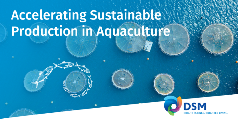 dsmfirmenichANH's tweet photo. As the world's population grows, demand for animal protein will continue to rise. DSM is addressing this challenge with its strategic initiative #WeMakeItPossible to grow aquaculture in a sustainable and profitable way. 

Read our latest aquaculture #FeedTalks to learn more.