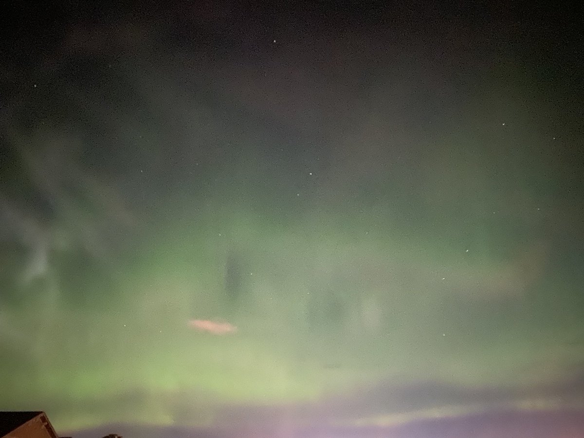 madisongnielsen's tweet photo. These arenβt the better photos, but I still thought I would share them.
So beautiful π₯°
#yyc #calgary #alberta #NorthernLights #swcalgary #yyc #happy https://t.co/BcmsppvFni