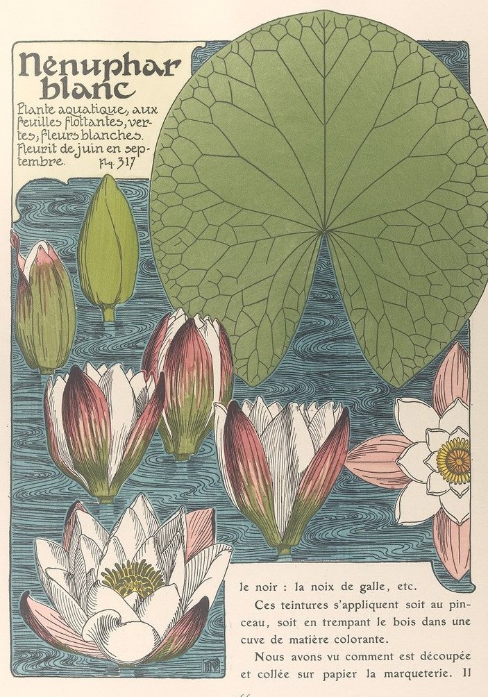 Gallica BnF tweet media