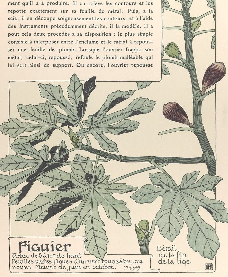 🌸💮🌺 Le mouvement Art nouveau se caractérise par l'importance des motifs végétaux. En 1903, Maurice Pillard Verneuil publie une Étude de la plante et son application aux industries d'art. À feuilleter sur <a href="/GallicaBnF/">Gallica BnF</a> => c.bnf.fr/OFp