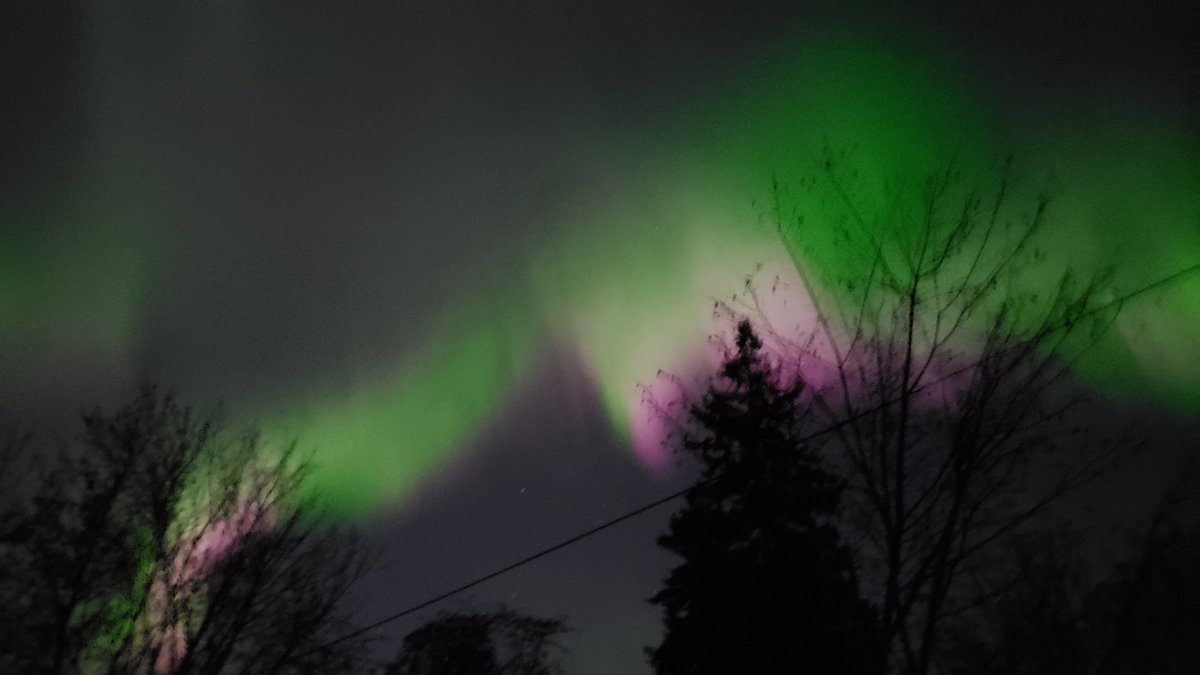 AJofTheNorth's tweet photo. The northern lights were intense like a fast moving fire and pulsing like I've never seen before! Was hard to photograph #AuroraBorealis #NorthernLights #YEG @mikesobel https://t.co/dWIVUlKTJG