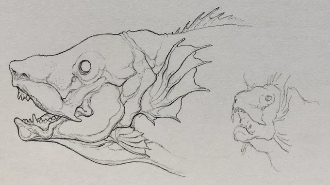 熊魚 