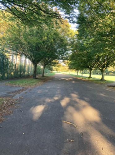 ShineCancerSupp's tweet photo. Affolake took on a different fitness activity each day for 30 days #fundraising 💖 Pics 2K walk! 🍂 Thank you Affolake &amp; all who donated £460!! £100 supports a #ShineNetwork for 1 month connecting young adults for support! https://t.co/ZW13Kx05Xj

 #NoOneAlone #cancersupport https://t.co/ZRBBIRTe8S