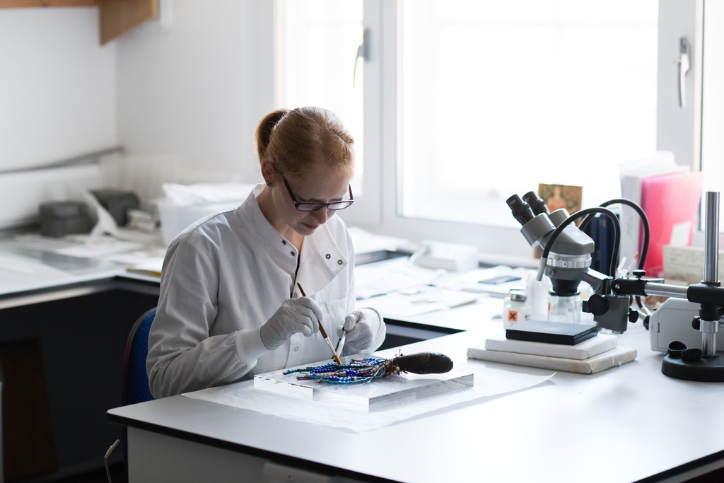RAMMuseum's tweet image. Sarah Klopf, Senior Conservator, @KateBerlewen and Leonor, placement students are back this year with #AskAConservator day to give you a snapshot of what #conservators do behind the scenes here at RAMM 🔎

We eagerly await your questions all about #conservation!