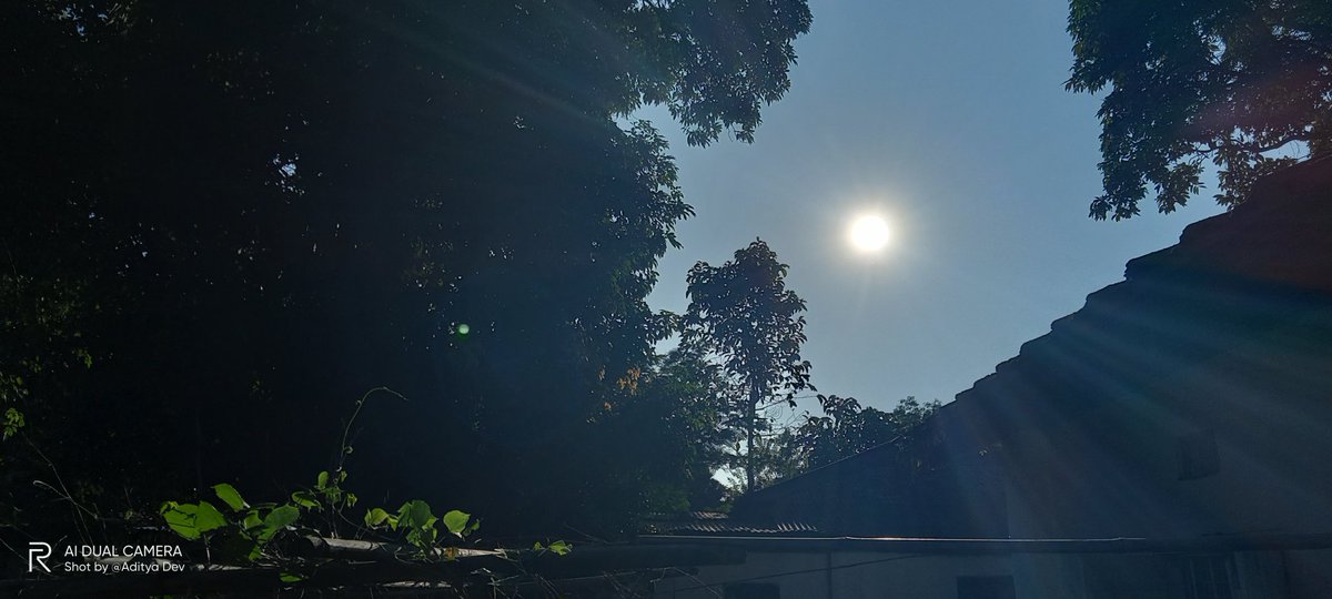 AdityaDev__'s tweet image. November afternoon.