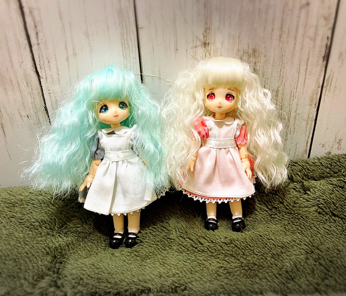40nshion's tweet photo. かーーーーわいーーーーー！！！縁あってお迎えしました🥰 https://t.co/i5F7gPMOgd