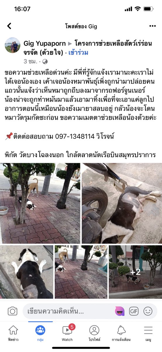 U88guk's tweet photo. อหหหหห ผัวส่งมาบอกเลิกงานแล้วให้กุแวะไปดูหน่อย สงสารมาก อ่านแล้วใจสั่นเลย คนเราทำไมมันใจร้ายแบบนี้วะ อีพวกเหี้ยนี่ต้องโดนแบบที่ทำกับสัตว์บ้างนะ แก่แล้วขอให้ลูกมึงเอาไปปล่อยวัดบ้างอีเหี้ย https://t.co/BqvFQwrPjZ