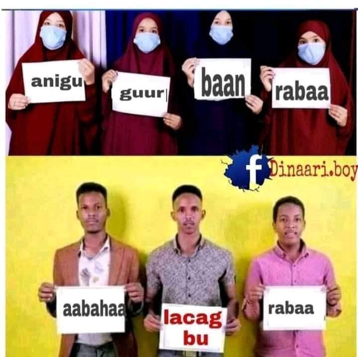 Engineere_Ataf's tweet photo. #Dumarow Guurkiii ayd Shirqool nooga dhigteen mideedakle xeerka Guurka ayd sare u kicseen $100'000 baad qarsiisin kadibna wxd leedihiin Guurban Rapnaa marki taas wxy u dhikintaa in lacagti Sanadoyin badn aynu aruurineyney idinka aad khaadatn.
😂😂😂

Taa ayda ah maliska yeelayi🤣 https://t.co/qWLaRTDZW0