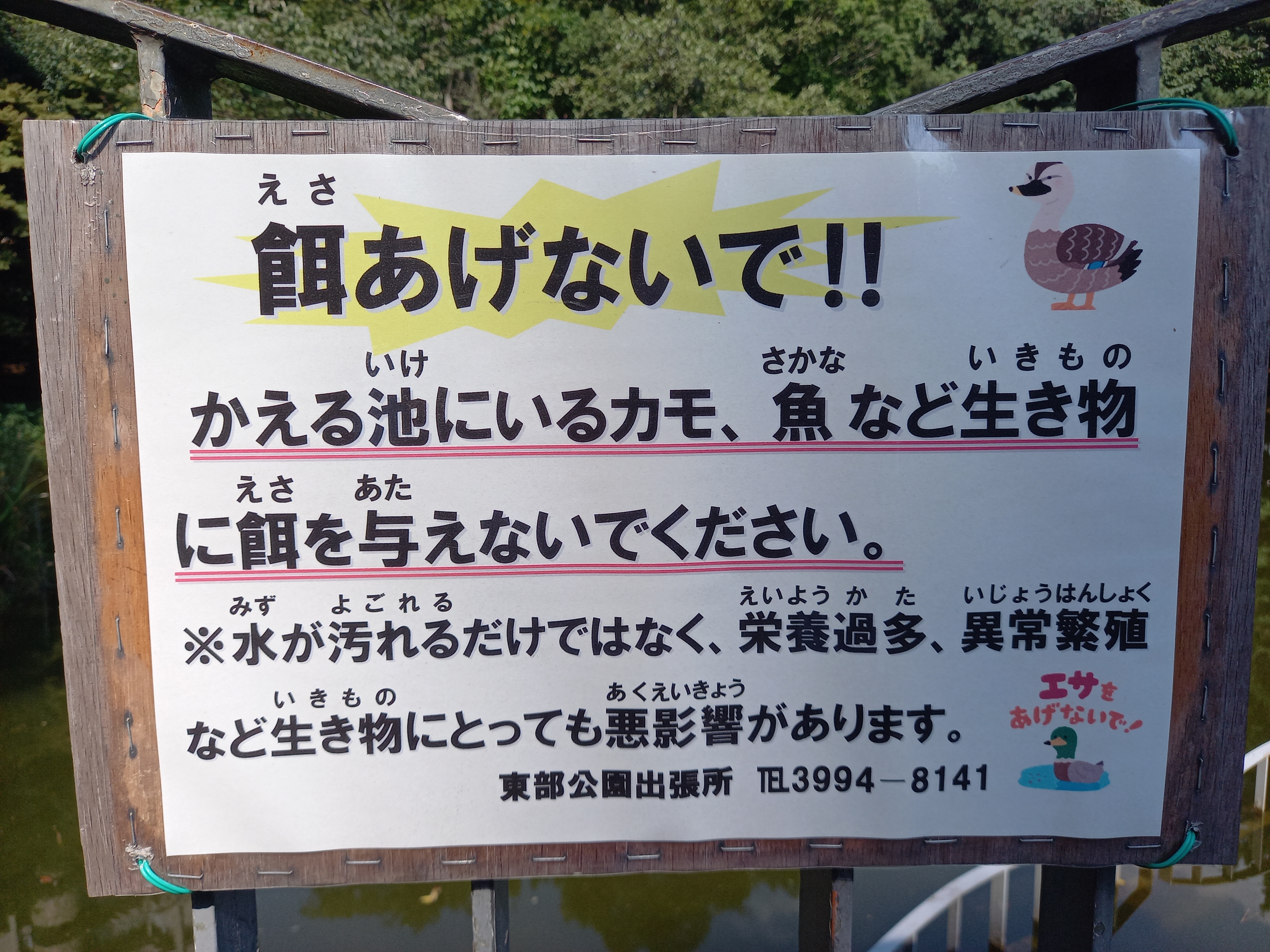 三浦靖雄 登録2号は光が丘 春の風公園 生き物に餌を与えないで 使用は カルガモ エサを与えないで カモ など 池ある公園はこうやって エサ与えないで 系が多いので いらすとや使用例ゲットチャンスです いらすとや いらすとやマッピング