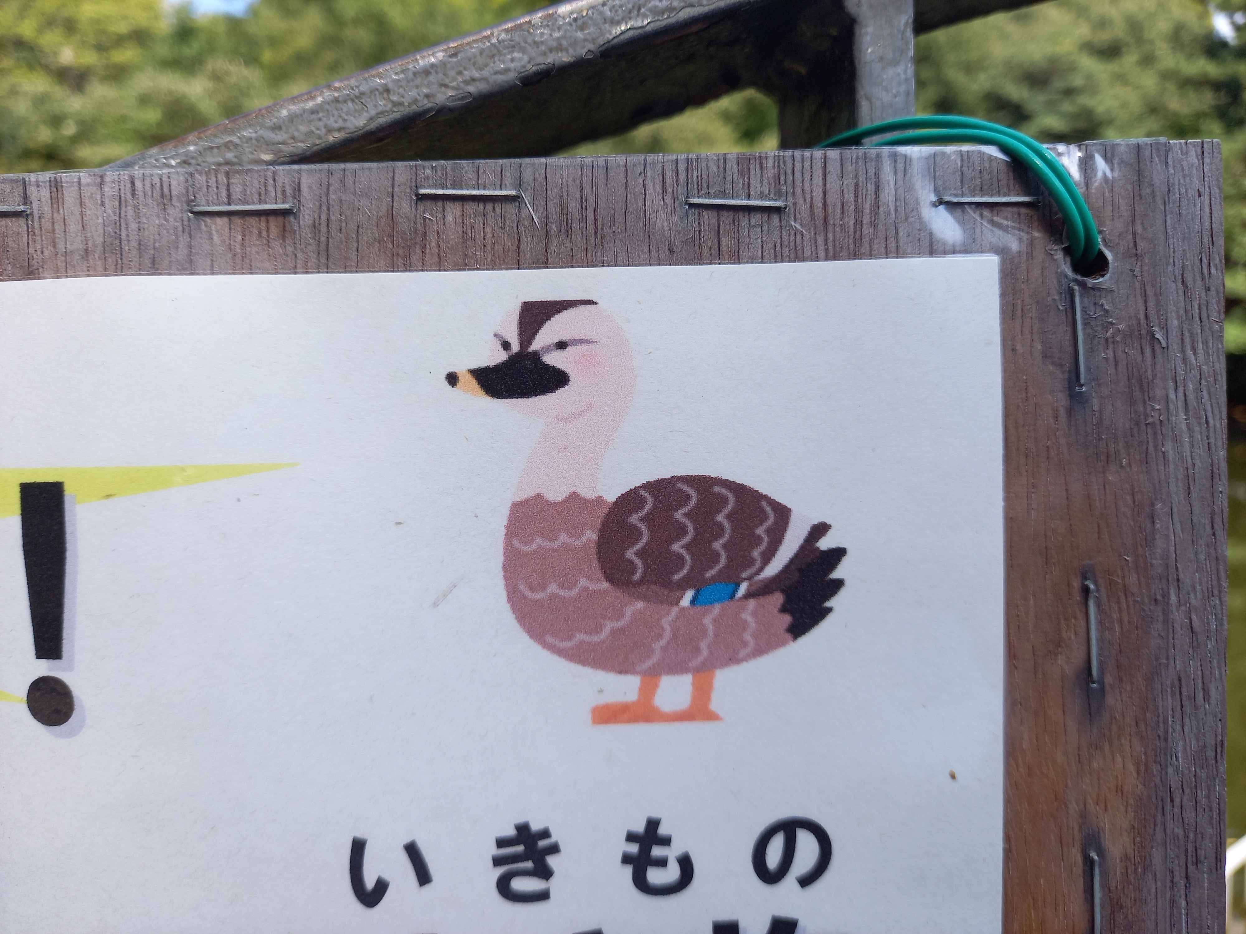 Twitter 上的 三浦靖雄 登録2号は光が丘 春の風公園 生き物に餌を与えないで 使用は カルガモ エサを与えないで カモ など 池ある公園はこうやって エサ与えないで 系が多いので いらすとや使用例ゲットチャンスです いらすとや いらすとや