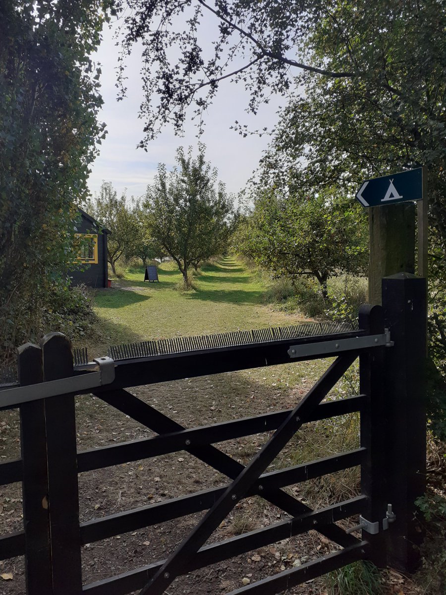 The Orchard Campsite is now closed for the winter. The good news is we're taking 2022 bookings! Book direct via fenendfarm.co.uk