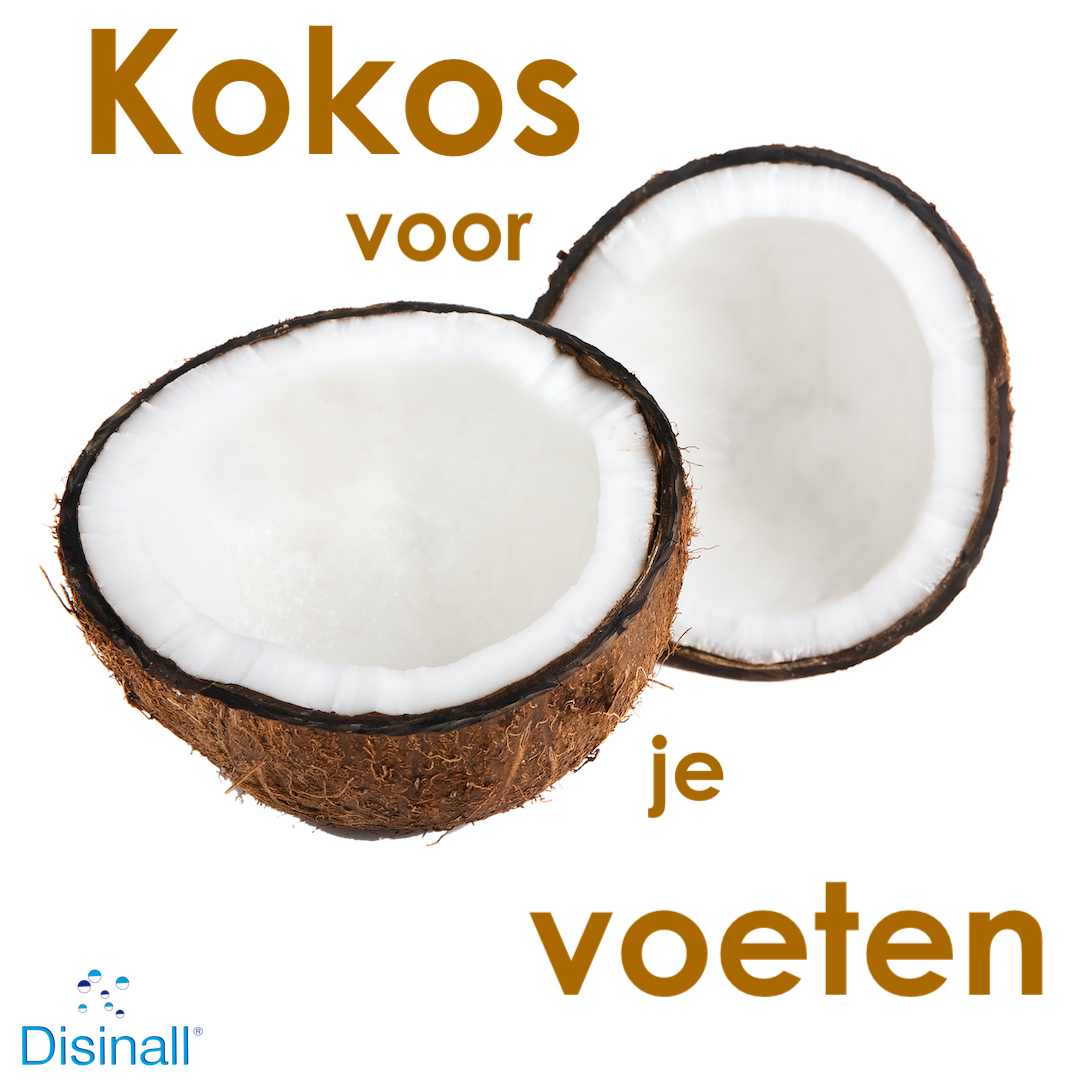 Disinall's tweet photo. Kokosolie bevat een unieke combinatie van vetzuren met krachtige medicinale, antivirale en antibacteriële eigenschappen. Disinall gebruikt kokosolie voor haar Oxinall formule tegen voetschimmel en kalknagels. Kijk voor meer info op https://t.co/0mKCK2TFXQ. https://t.co/MWrdynWGt8