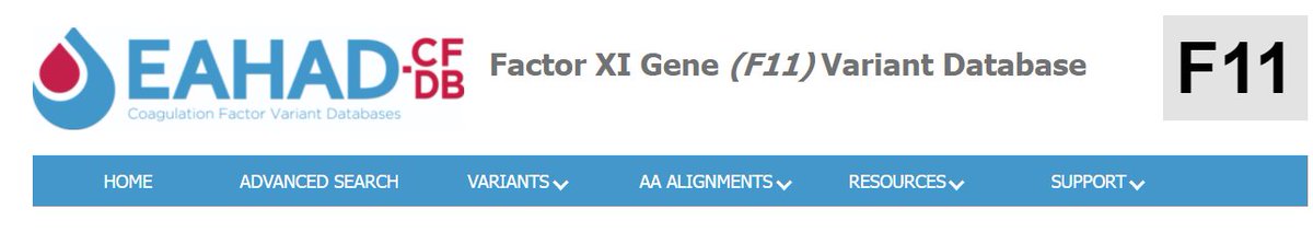 We're very happy to announce that earlier this October our Coagulation Factor Variant Databases Steering Group released their brand-new Factor XI Database!
Consult the database⤵️
f11-db.eahad.org