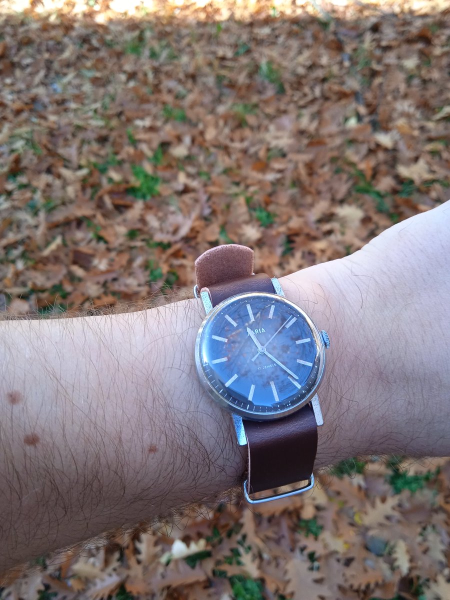 Zvezdichko's tweet photo. Vintage Zaria watch #sovietwatch #vintagewatches #horology https://t.co/KW7UC1ny2P