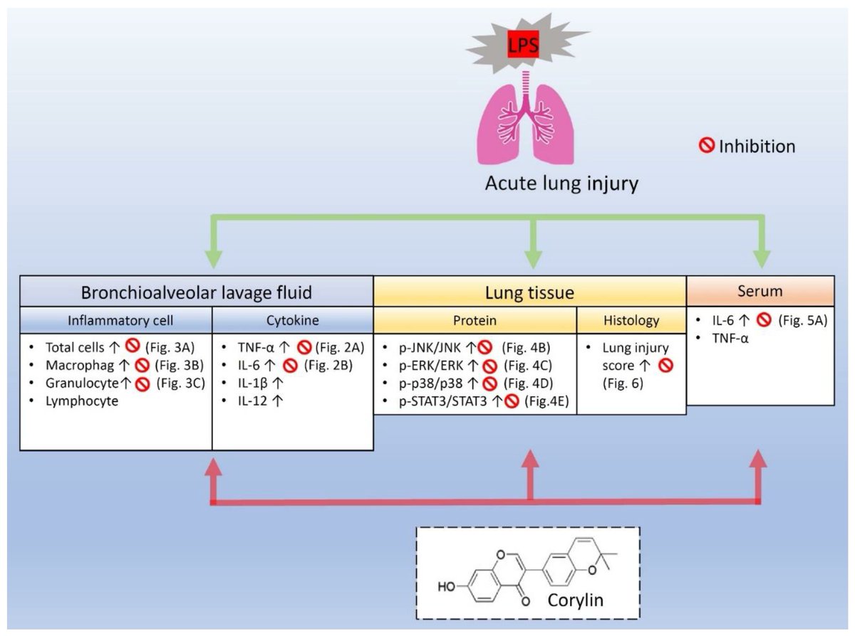 Pharmaceut_MDPI's tweet photo. Pharmaceuticals Article by Dr. I-Chen Chen et al.: Corylin Ameliorates LPS-Induced #AcuteLungInjury via Suppressing the #MAPKs and IL-6/STAT3 Signaling Pathways.
#AcuteRespiratoryDistressSyndrom #MAPKSignalingPathway
📄Free to Read Via:
https://t.co/BjlP73wWAA https://t.co/b68ygQAvmt