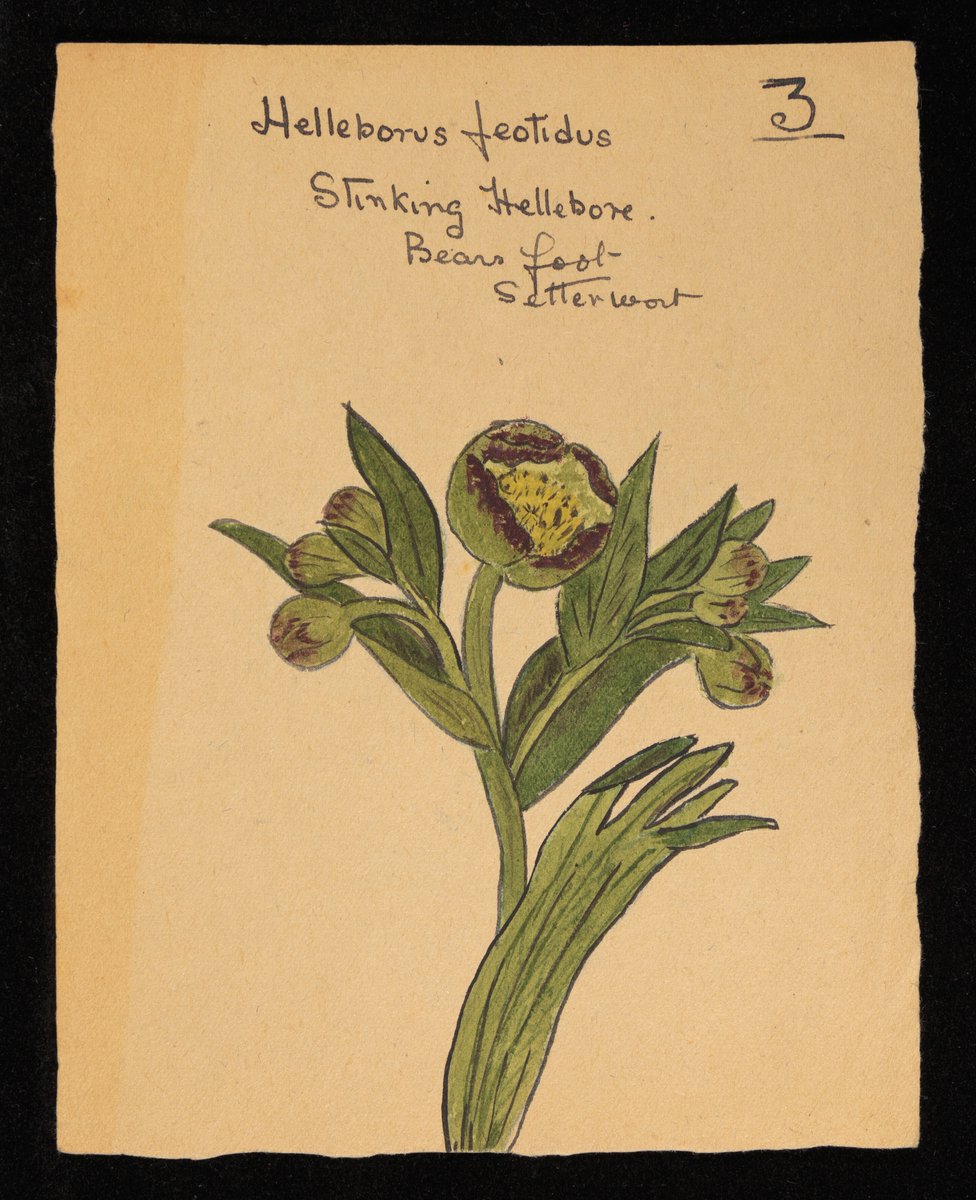 Really enjoyed bringing together the #EnvironmentalHistory collections <a href="/UoYBorthwick/">UoY Borthwick Institute for Archives</a> into a new website for History Day 2021! Valuable records documenting small and large-scale changes to the Yorkshire landscape tinyurl.com/ybs94yu3 
<a href="/SenateHouseLib/">Senate House Library</a> <a href="/ihr_history/">Institute of Historical Research</a> #HistDay21