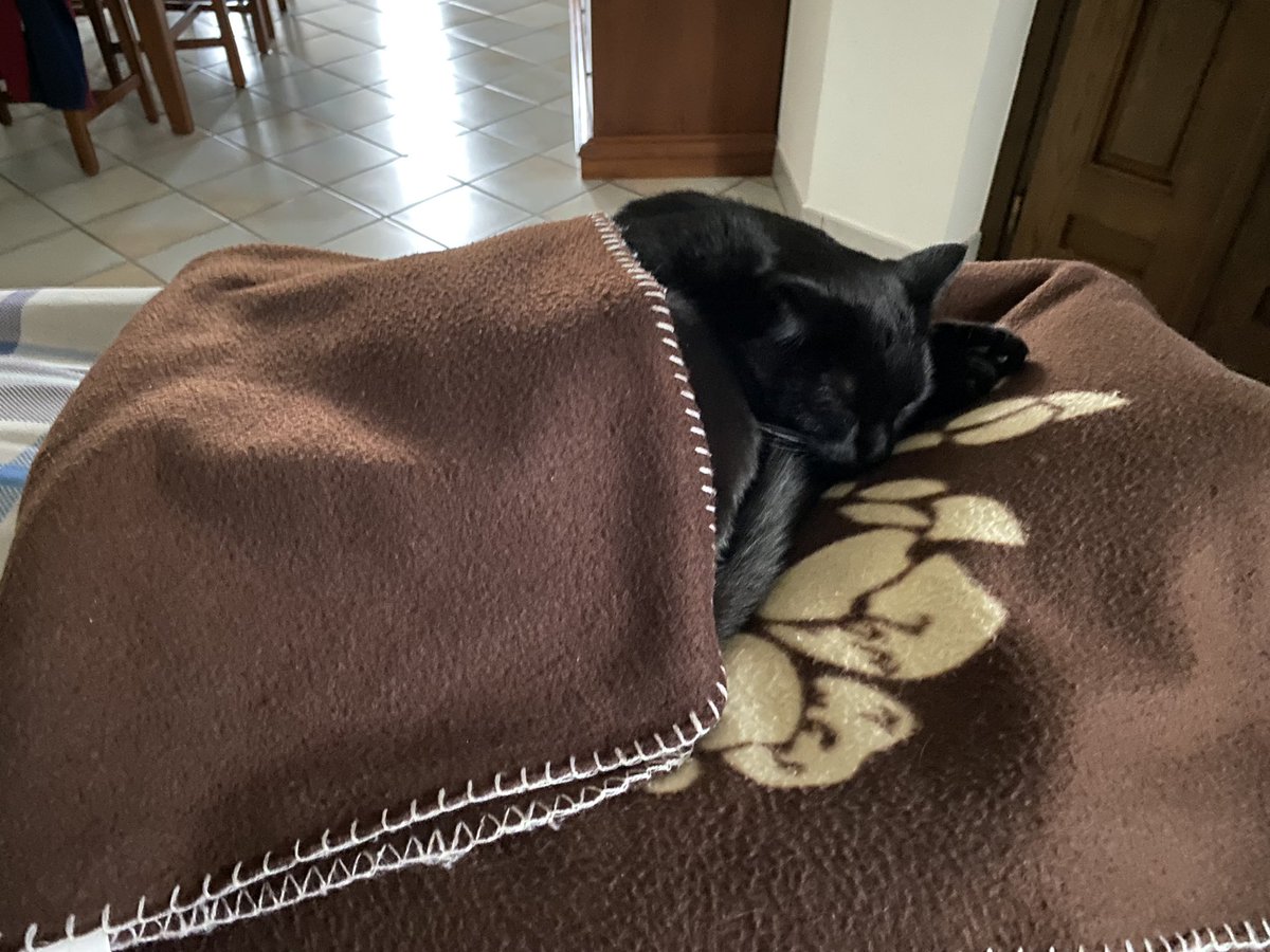 caty_rene's tweet photo. Quoi? Il fait froid et alors ..? https://t.co/BqauJTU2YX