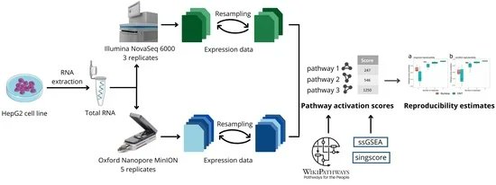 Biology_MDPI's tweet photo. Oxford Nanopore MinION Direct RNA-Seq for Systems Biology https://t.co/RbHYwXubKy #mdpibiology via @Biology_MDPI
#transcriptomics #nanopore_technology #RNA_seq #MinION #pathway_activation #systems_biology #HepG2 https://t.co/bXxbEHAsvF