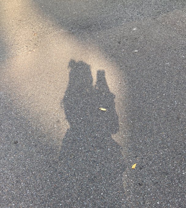 アヤミのTwitter画像3