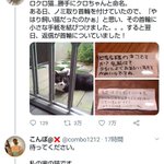 ドラマ性が強い!Twitterで感動した猫のお話!