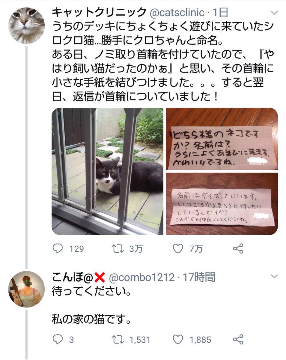 ドラマ性が強い！Twitterで感動した猫のお話！