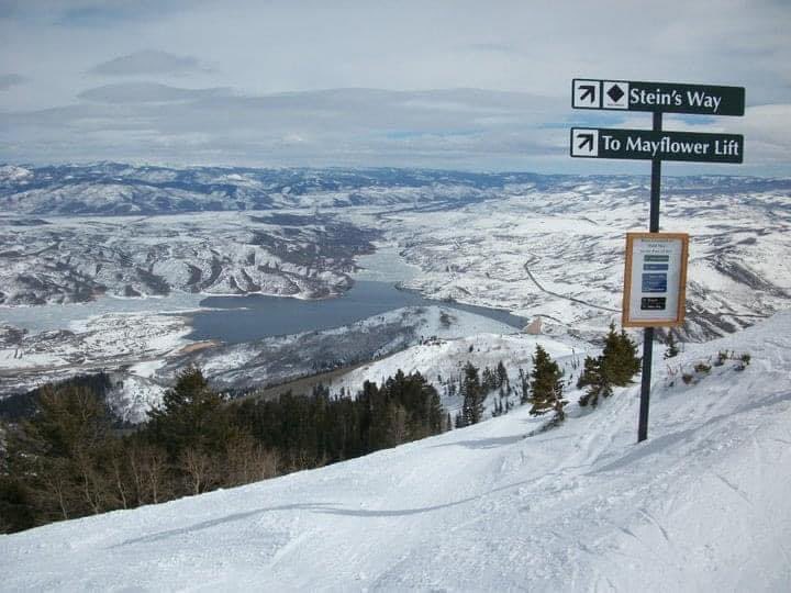 Sabrina Thompson tweet media