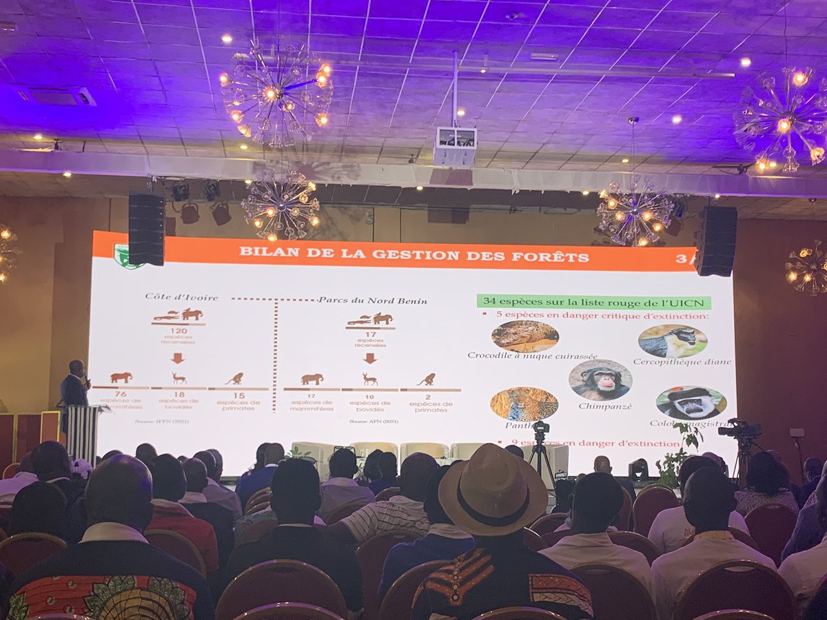 Yefien_Coul's tweet photo. Selon le bilan de la gestion des forêts présentée par le Ministre @ARDonwahi le domaine forestier de l’Etat compte 16 parcs nationaux et 2 réserves; ainsi que 120 espèce recensées.
#CIV #CI225 #CIV225 @OulotoD @LCavally https://t.co/vPjluyVGFb
