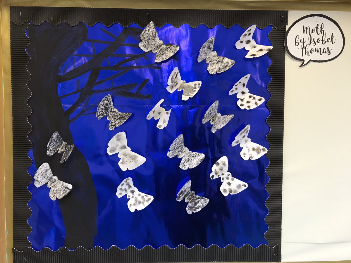 Mrs Witty-Crane and Magpie Class tweet media