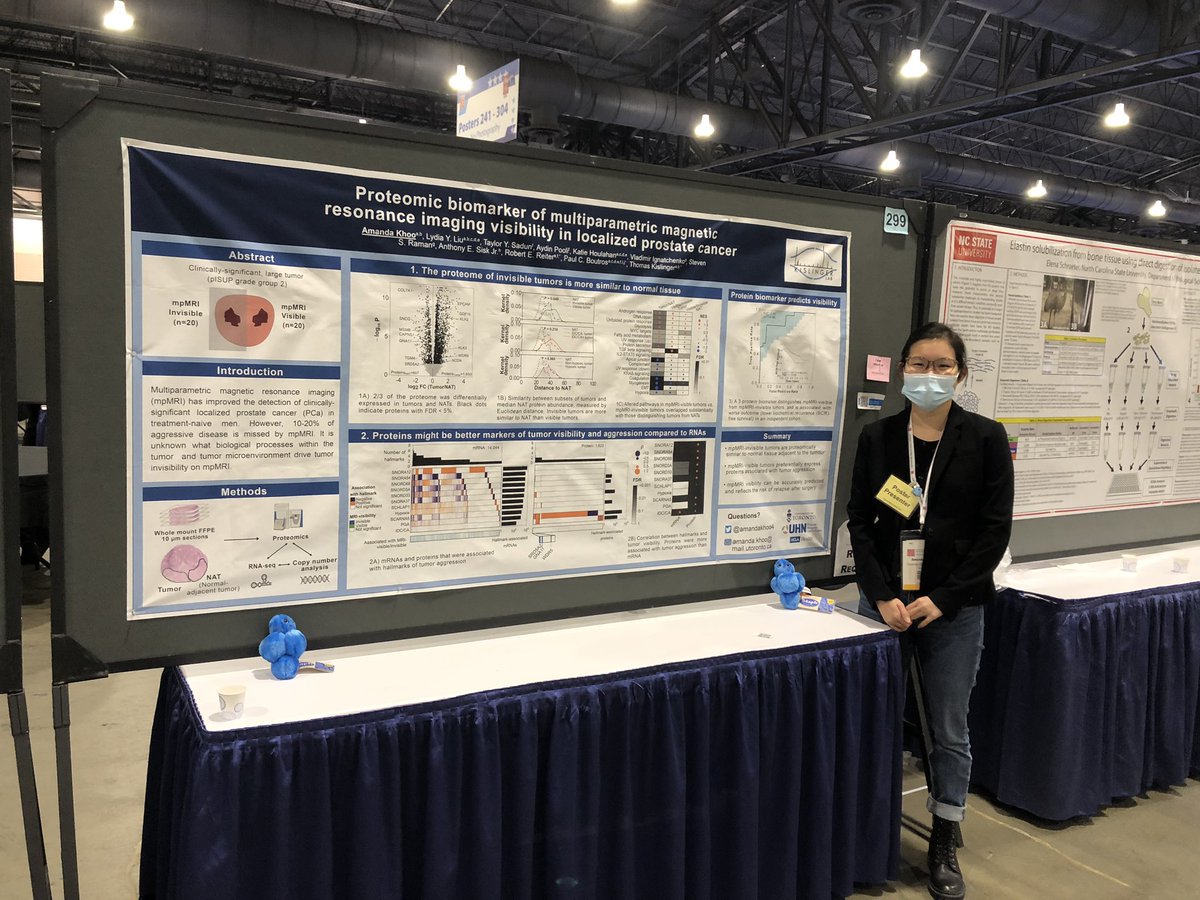 meinusha's tweet photo. Come check out @amandakhoo4 awesome poster on using proteomics to understand why some aggressive tumors remain invisible to MRI detection at ThP299 #ASMS2021 @KislingerThomas @MBPatUofT https://t.co/TtLqVOdyU8