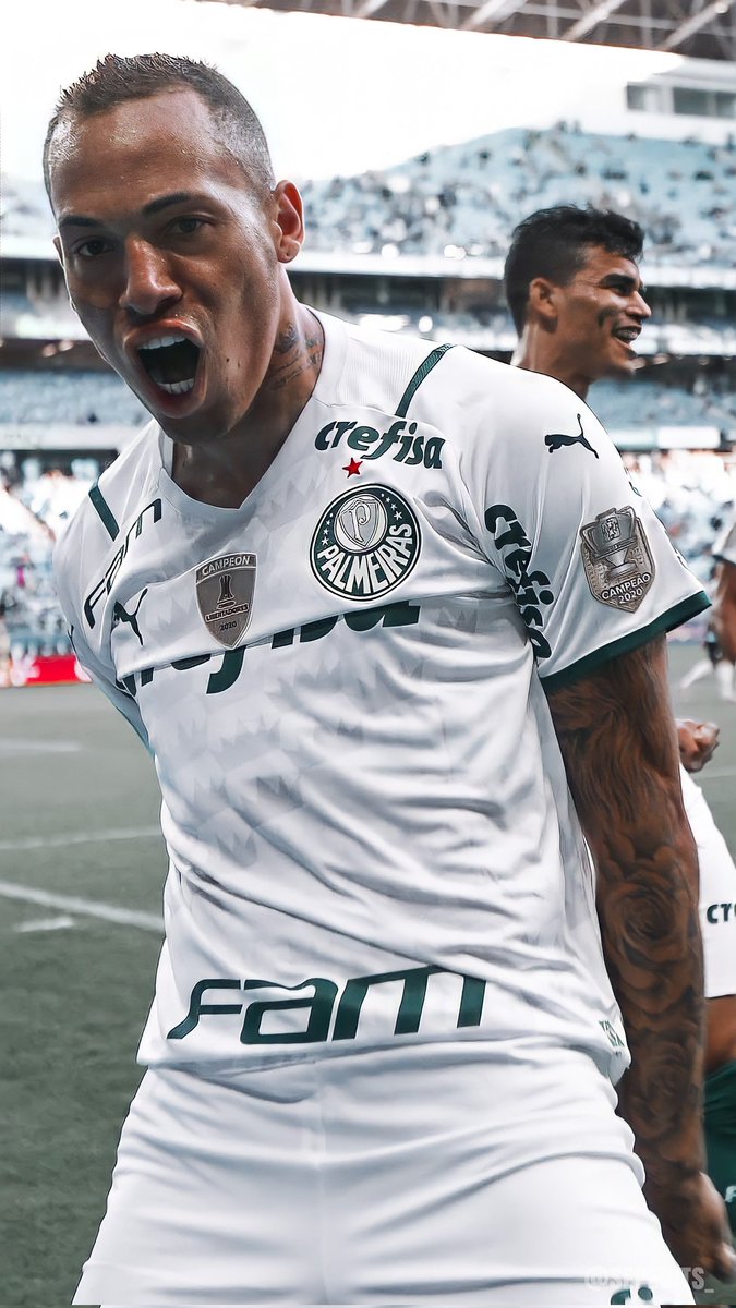 SepEdits_'s tweet image. Wallpapers - Palmeiras 
[ Palmeiras 3 x 1 Grêmio ]