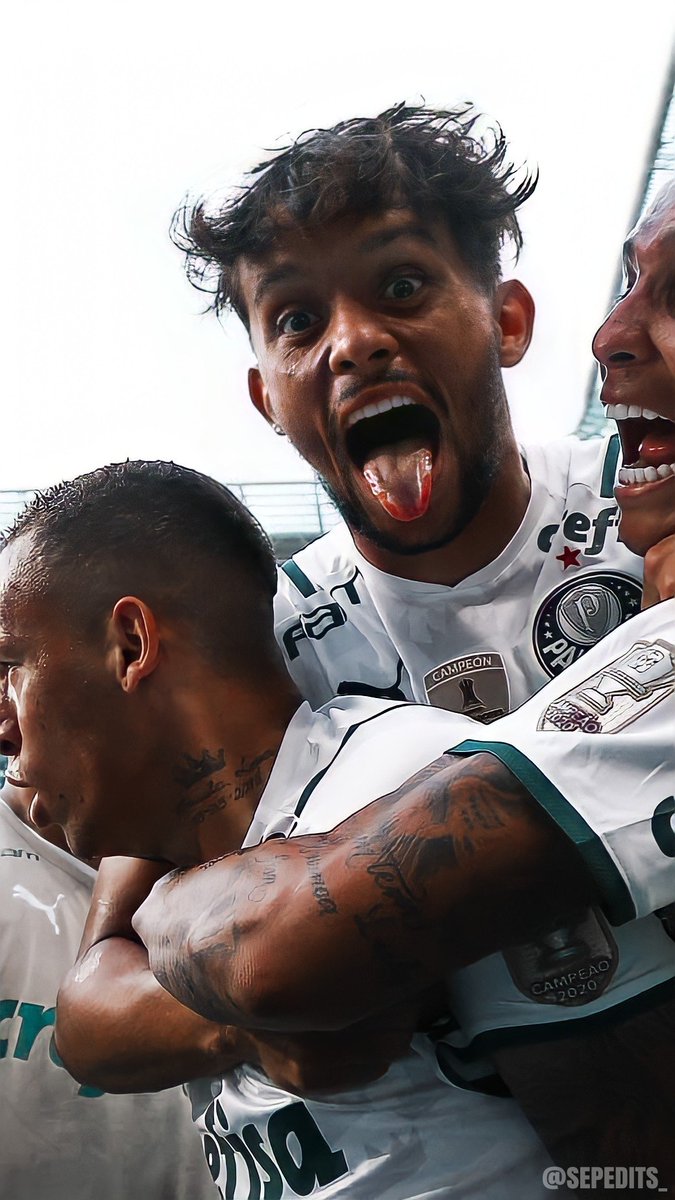 SepEdits_'s tweet image. Wallpapers - Palmeiras 
[ Palmeiras 3 x 1 Grêmio ]