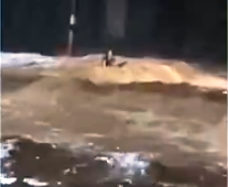 GuardaContagem's tweet image. Guarda Civil de Contagem auxilia resgate de moradora, ilhada na avenida Tereza Cristina, durante tempestade
contagem.mg.gov.br/novoportal/gua…