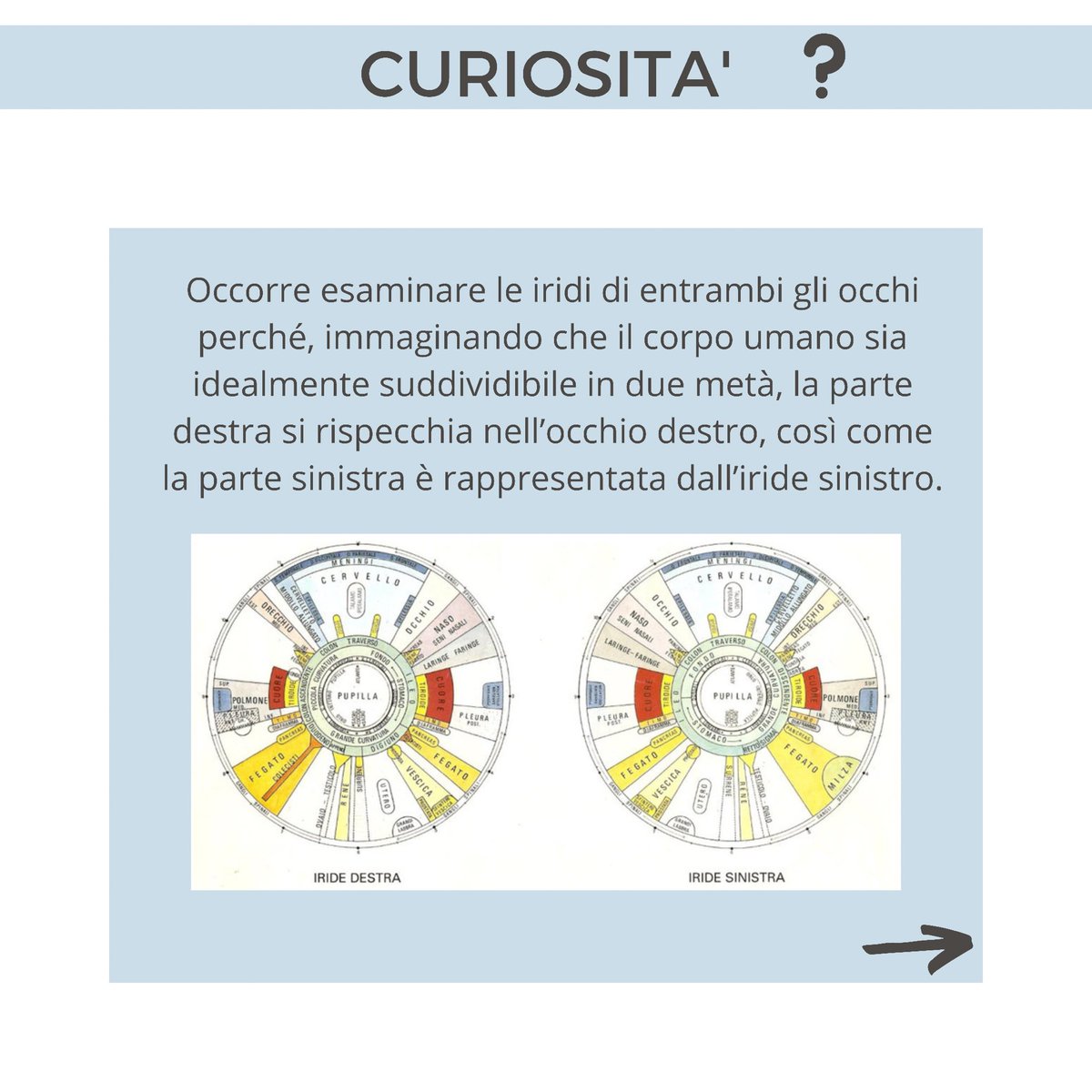 NaturopataMSB's tweet photo. ❓E voi conoscevate questa pratica diagnostica?

🙋🏻‍♂️P.s. Se volete prenotare con me la vostra visita iridologica vi basterà cliccare sul link: https://t.co/rq9IuGgXdX https://t.co/m9yM5an6uw