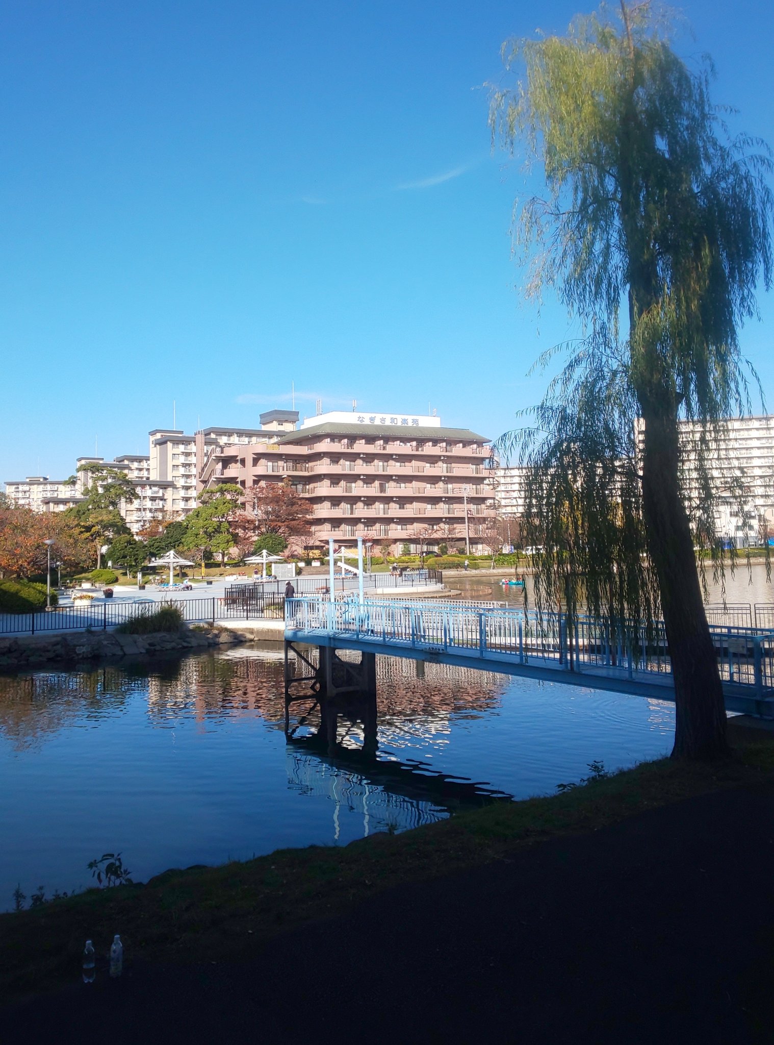 تويتر 新左近川親水公園 البحث في تويتر