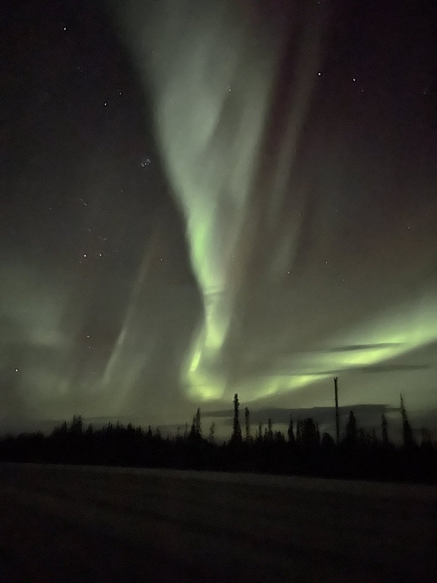 carlsnider's tweet photo. What a beautiful night!! The Aurora Borealis was putting on a show!! This is just one of many reasons why Alaska is so amazing!
#alaskaishome
#madeforalaska
#boldlygo
#shootforthemoon
#auroaborealis
#notonthebucketlistanymore https://t.co/9vGhuQOPfV