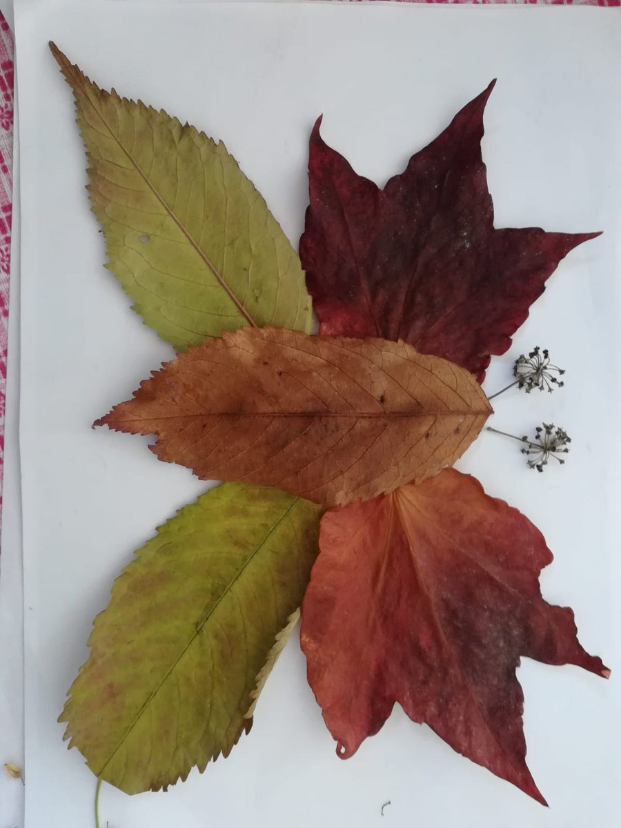 #OkulDısarıda <a href="/toroslarmem/">Toroslar İlçe Milli Eğitim Müdürlüğü</a> <a href="/MersinMEM/">Mersin İl Millî Eğitim Müdürlüğü</a>