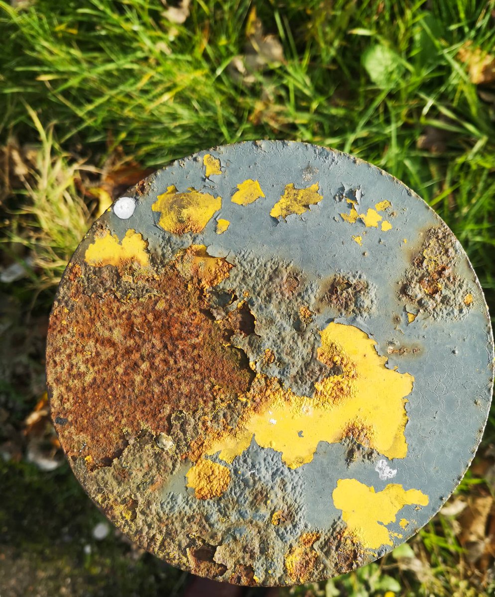 FranBuxtonMixed's tweet photo. Beautiful textures and colours on a bright and brisk walk today.
#colourpalette #artistswhowalk #psychogeography #colourandshape #colourandpattern #textures #mixedmedia #mixedmediaartist #photographyeveryday #dailyinspiration #photoeveryday #textileartist #contemporarycraft https://t.co/zQefpcxVno