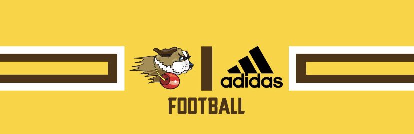 BrandauWill's tweet photo. 100% committed!💛🤎Thank you for the great opportunity! @USFSaintsFB @USFSaints @coachmiller3634 @JcurryJoe https://t.co/qhyOWSj47w